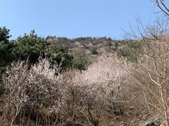 -北京鹫峰国家森林公园