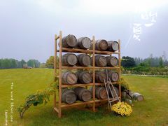 -安德鲁户外烧烤帐篷营地(马泉营店)