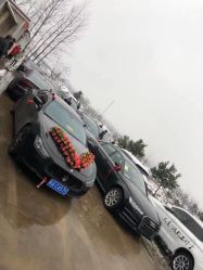 -蚂蚁婚车
