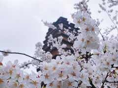 -西安博物院