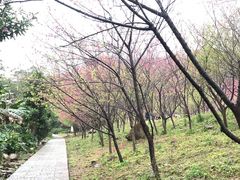 -福清灵石山国家森林公园