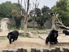 -常州淹城野生动物世界