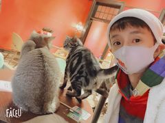 -猫色咖啡·猫咖
