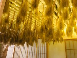 -SEAS小顏·日本小颜整骨美容サロン