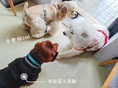 -小意思咖啡店(草桥店)