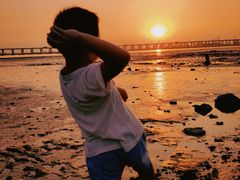 -宝安西湾红树林湿地公园