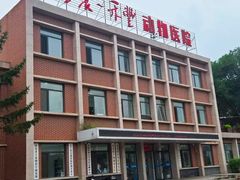 -派美特宠物医院·核磁CT·骨科肿瘤·疑难转诊(沈农禾丰店)