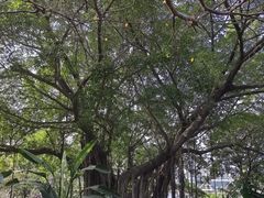 -乌山风景区