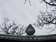 -护国法轮寺