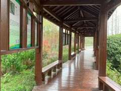 -昆山城市生态森林公园