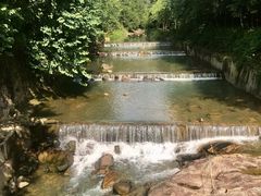 -广州白江湖森林公园