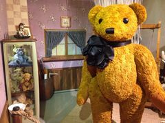 -济州岛泰迪熊博物馆