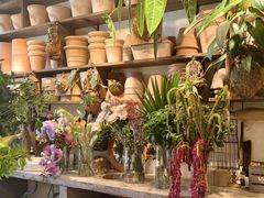 -自由生长植物工作室(深港花卉中心店)