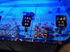-義聚德·清真铜锅涮羊肉·烧烤(河东店)
