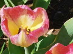 -长春公园(普阳街道)