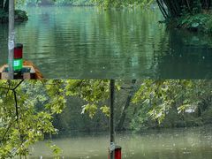 -西湖外事游船(花港观鱼码头)