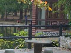 -上海共青森林公园