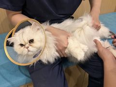 -美迦爱-牙专科·兔科·骨科诊疗中心(北苑店)