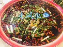 -东吴霸王兔(松青路店)