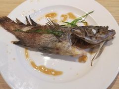 -Isla Sugbu Seafood City