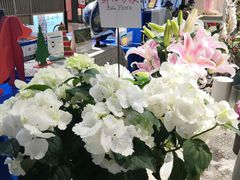 -Libra Flora花店(骆岗中央公园店)