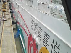 -吴淞口国际邮轮码头-停车场