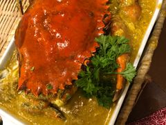 -茉莉.Red Crab