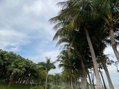 -深圳湾公园(南山区)