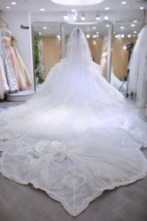 -台湾蔡美月婚纱租赁