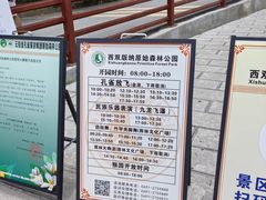 -西双版纳原始森林公园