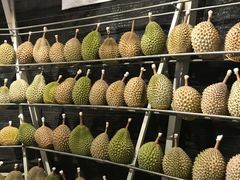 -都念榴莲·城市榴莲