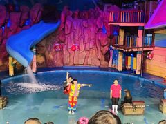 -烟台海昌鲸鲨海洋公园