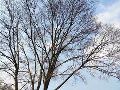 -T80科技文化国际社区-停车场