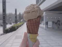 海盐焦糖冰淇淋-LUNEURS月乐诗·法式冰淇淋(环贸店)