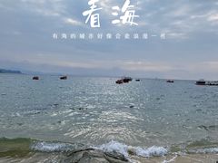 -大梅沙海滨公园
