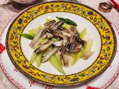 -新光酒家·河豚·海鲜·蟹料理(浦东店)