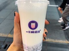 -一只酸奶牛(八一路店)