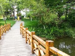 -桤木河湿地公园