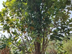 -中国移动南方基地