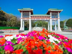 -王借岗森林公园