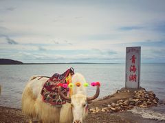 -青海湖国家重点风景名胜区