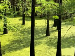 -青山湖景区