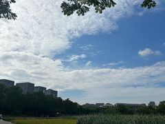 -长广溪湿地公园