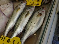 -赶海部落海鲜城(海阳路店)