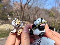 -红山森林动物园