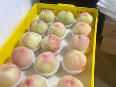 -老袁家蜜桃农场·阳山水蜜桃