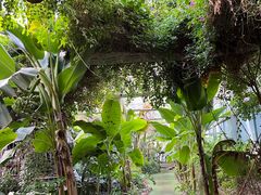 -呀路古热带植物园