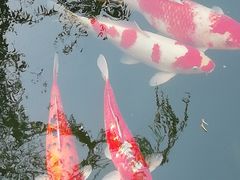 -三里河公园