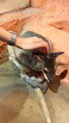 -Zoolung Zoolung动物主题公园(海信广场店)