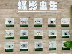 -深圳龙华星河COCO City(民治店)